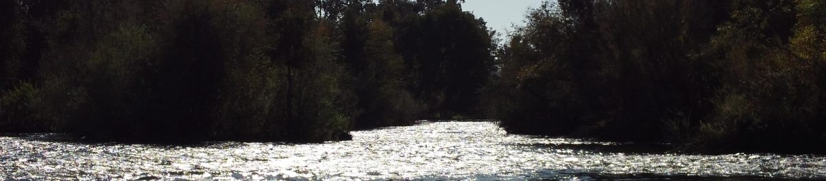 IMage of the San Joaquin River with sparkling water