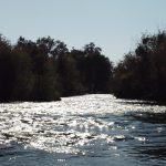 IMage of the San Joaquin River with sparkling water