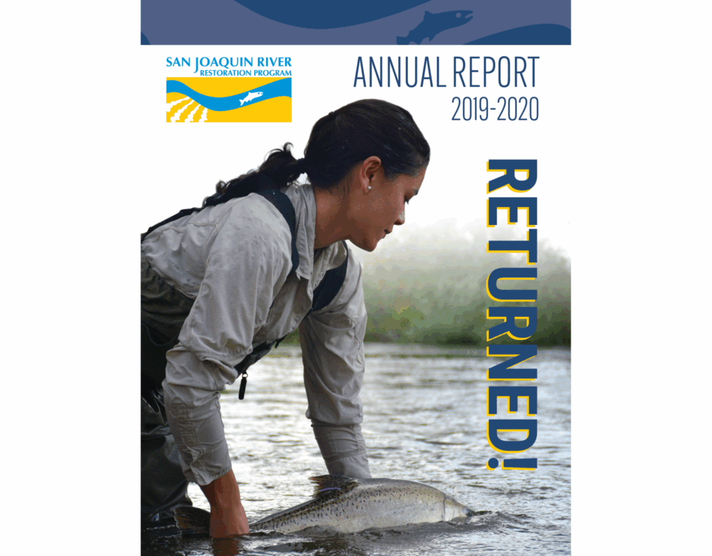 2019 2020 Annual Report now available