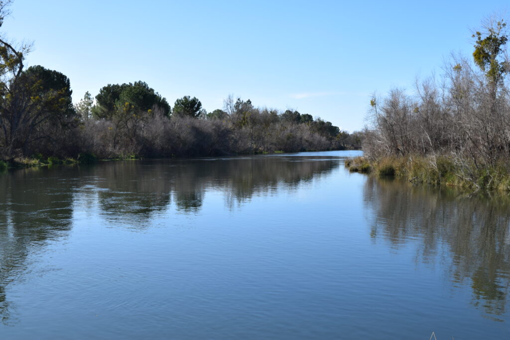 river with trees besides it