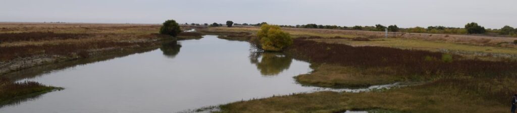 a river