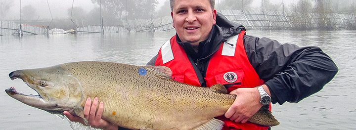 person holding a fish