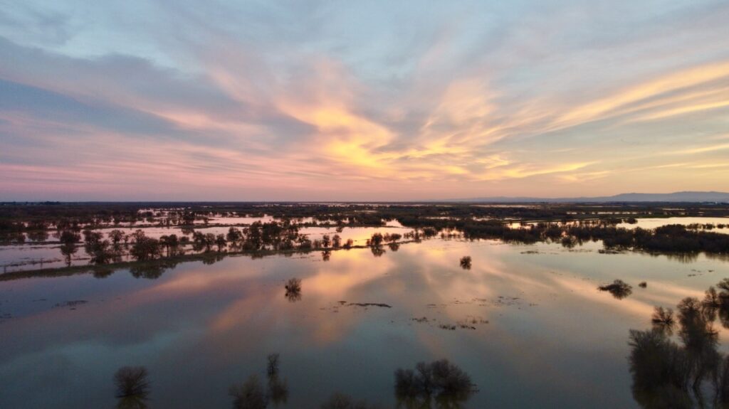 Program Schedules 2023 Restoration Flows