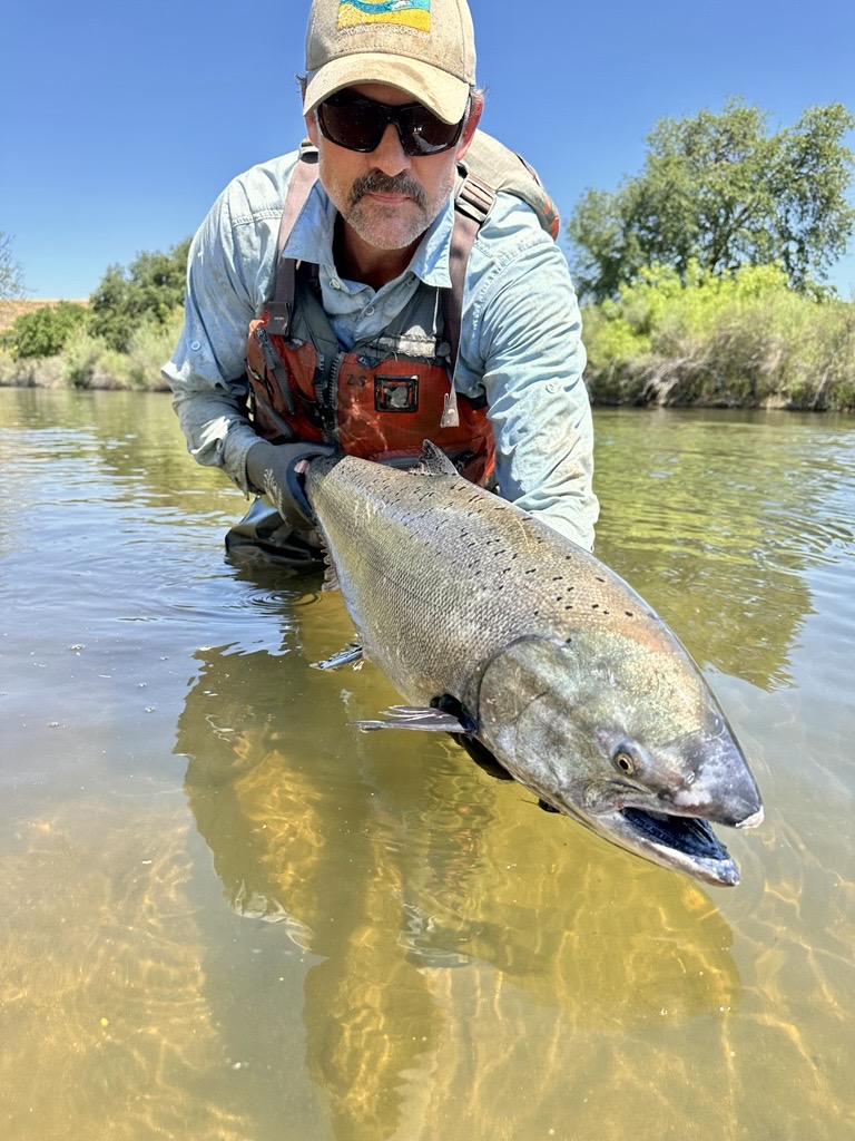 Zak Sutphin, lead field biologist for the program, releases a 2025 returned spring-run Chinook salmon. Sutphin was recognized for his contributions to Reclamation.