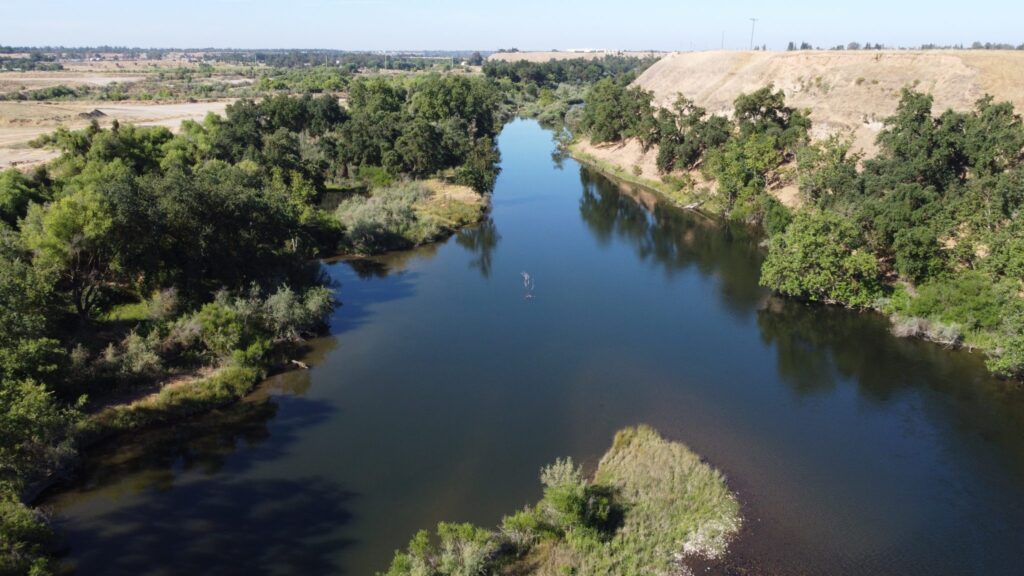 a river with trees along it