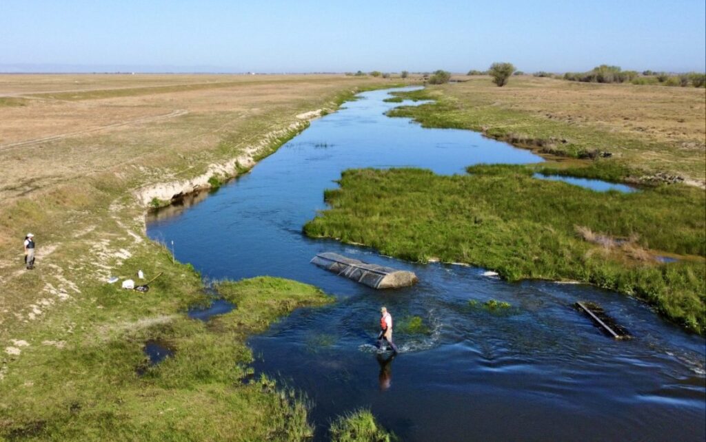 a river