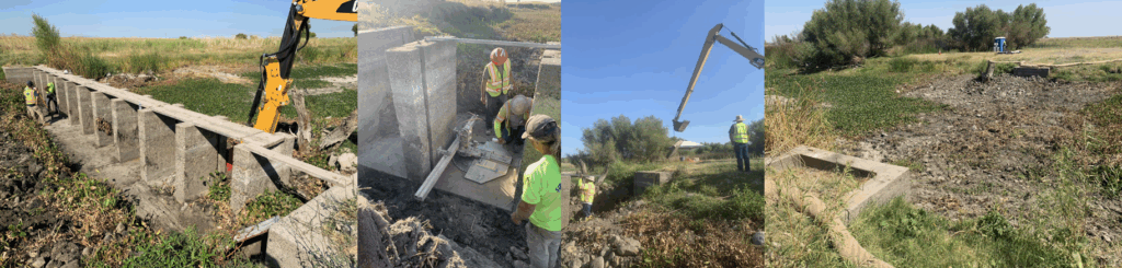 L to R: Clearing vegetation from the upper weir; saw cutting the weir abutments; removing abutments using the excavator; removal complete.
