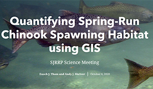 Quantifying Spring-run Chinook Spawning Habitat Using GIS