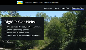 Spawning Segregation of Fall-run and Spring-run Chinook Salmon in the San Joaquin River