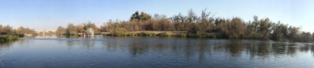 river and trees