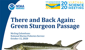 There and Back Again: Green Sturgeon Passage