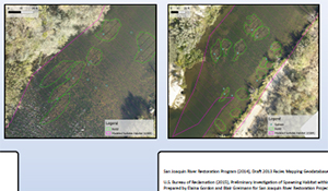 Using Drones to map Salmon Redds and Habitat on the San Joaquin River