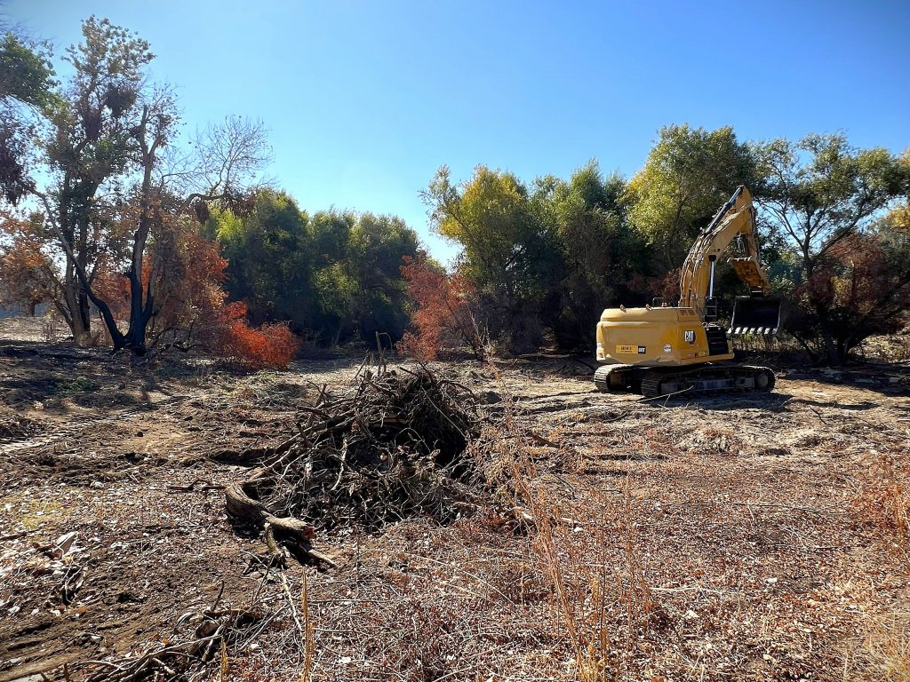 An excavator removes vegetation from the project site.